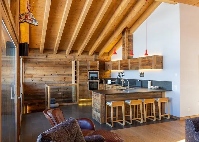 Le Grimpeur, De Glace Access, 50m From Lift Nendaz